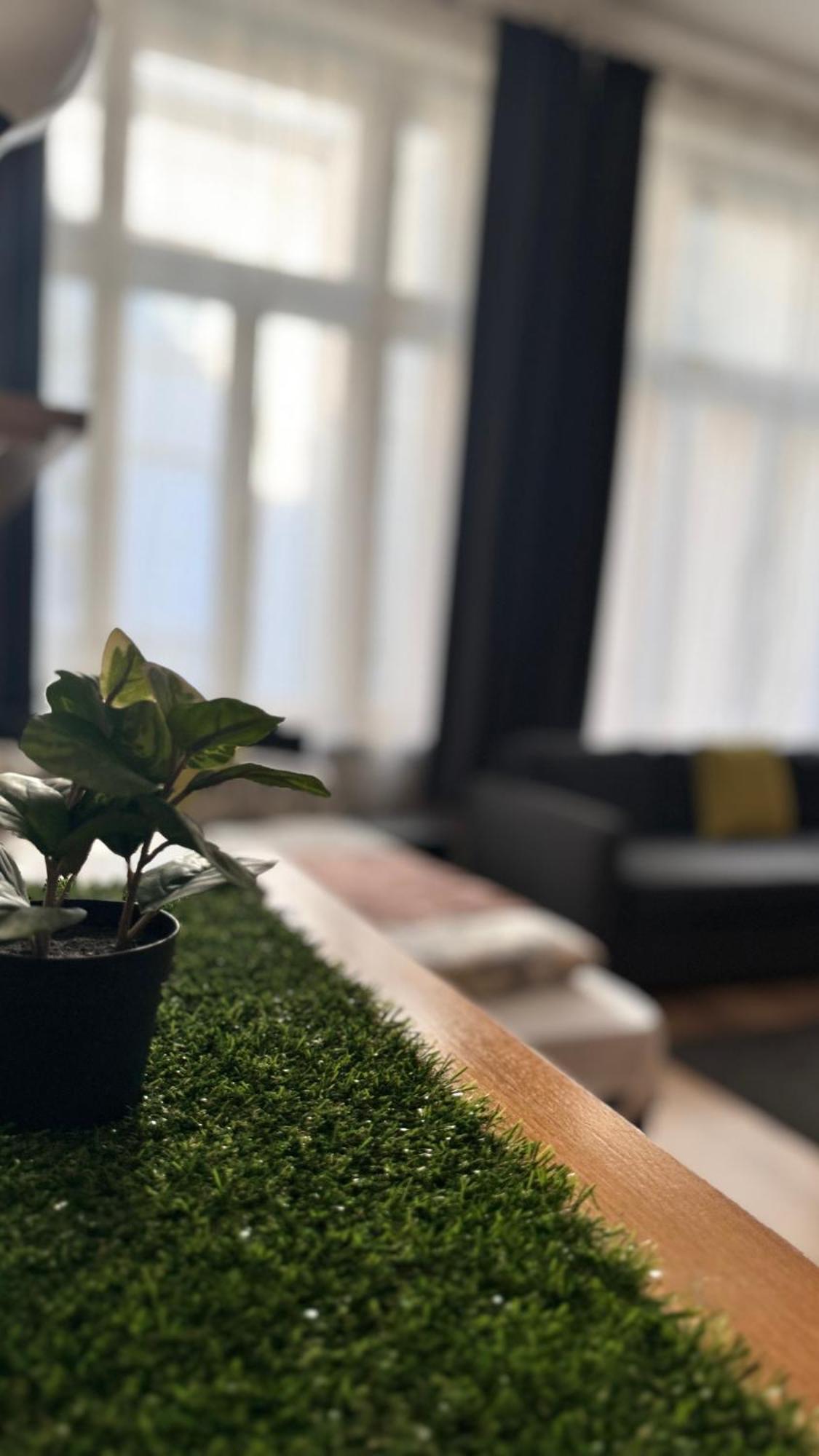Central Walk Fashionstreet Apartmnts 부다페스트 외부 사진